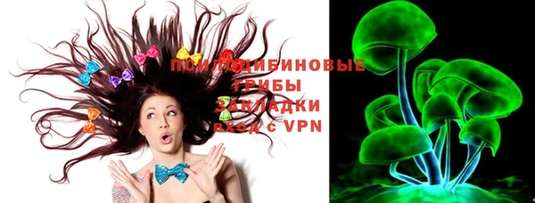 хмурый Алексеевка