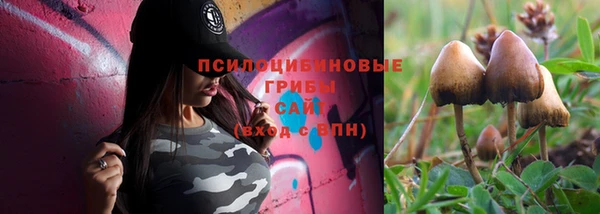 хмурый Алексеевка
