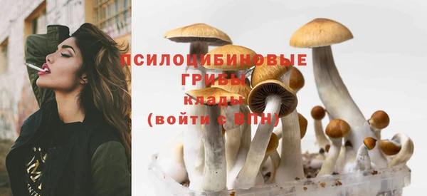 хмурый Алексеевка