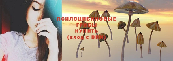 хмурый Алексеевка
