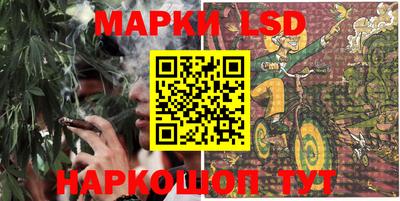 мяу мяу мука Краснознаменск