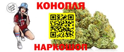 мяу мяу мука Краснознаменск
