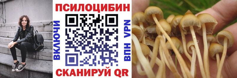закладка  Калач-на-Дону  Псилоцибиновые грибы мицелий 