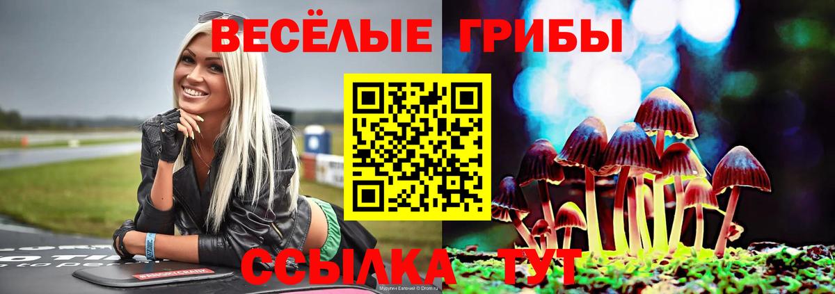 Псилоцибиновые грибы Psilocybine cubensis  Галлюциногенные грибы Psilocybe  Калач-на-Дону  Вход с VPN 